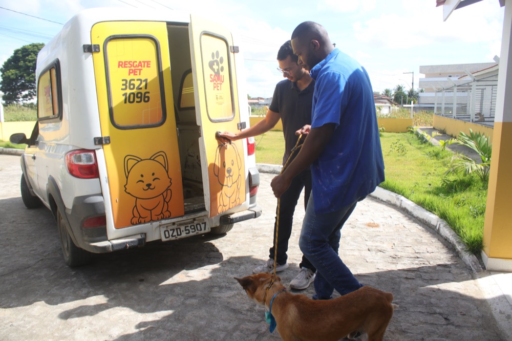 Mais de 1.000 cães resgatados pelo SAMU PET