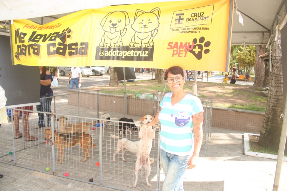 Aproximadamente 500 cães adotados no Programa Adote PET